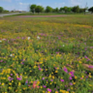 Meet your Posher, Anke